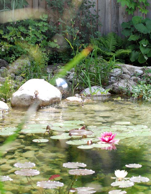 Badeweiher Feldmeier